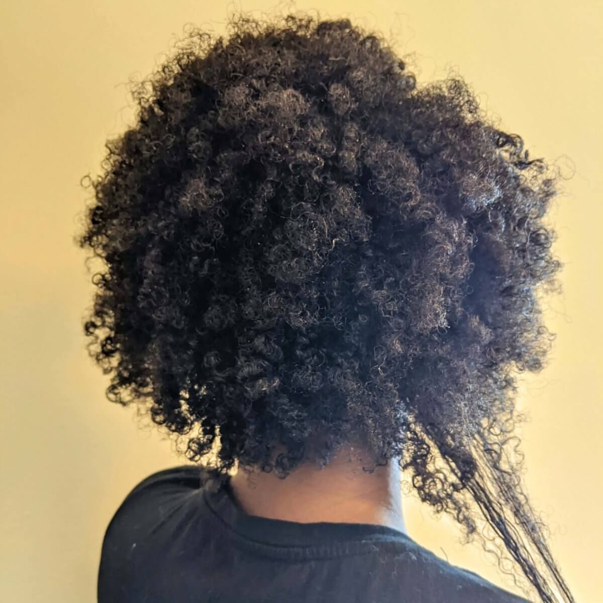 Natural Hair Shrinkage
