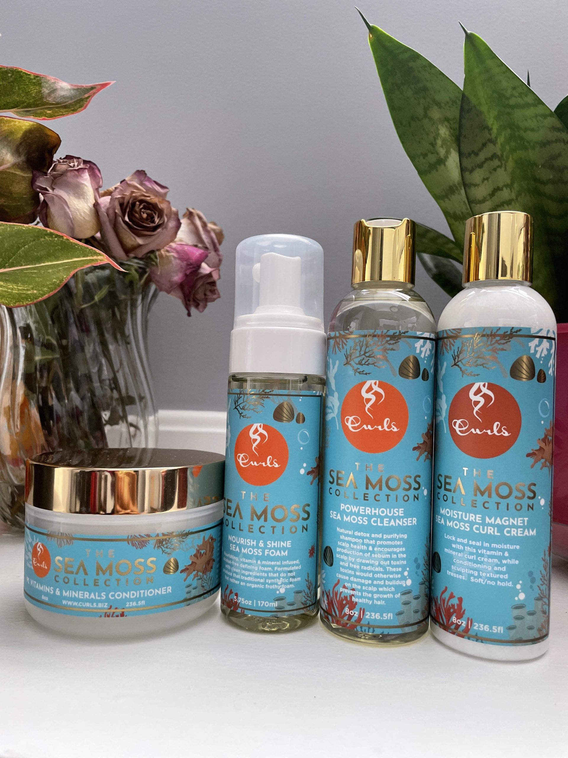 Curls – The Sea Moss Collection